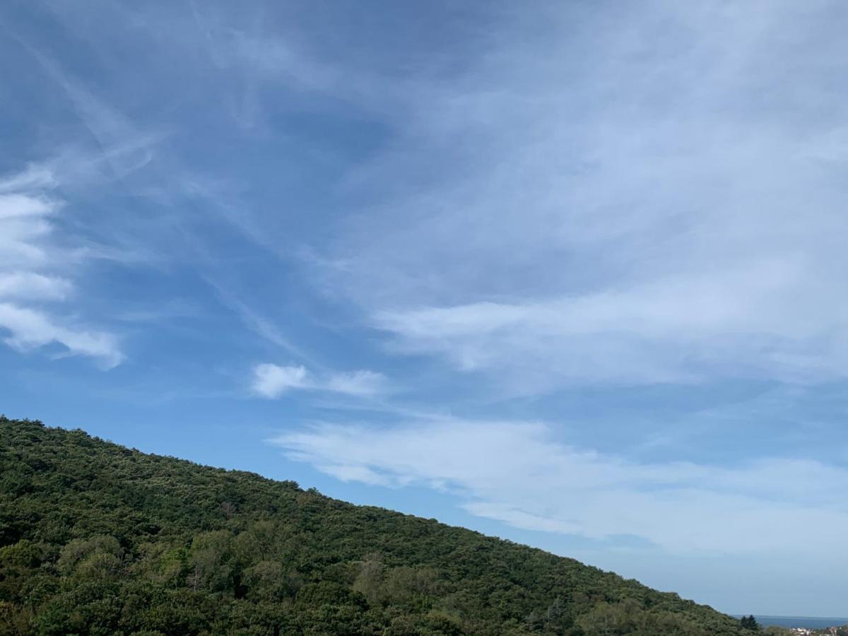 Al Bosco Incantato Trieste Bagian luar foto