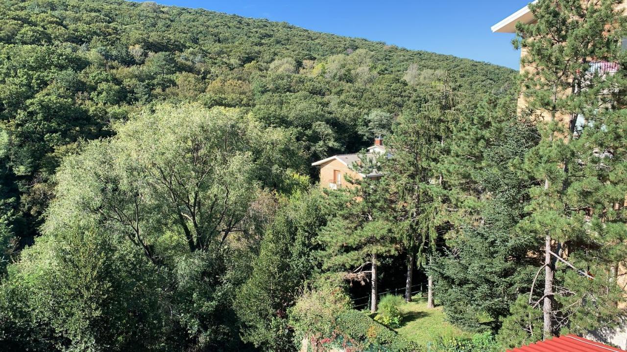 Al Bosco Incantato Trieste Bagian luar foto